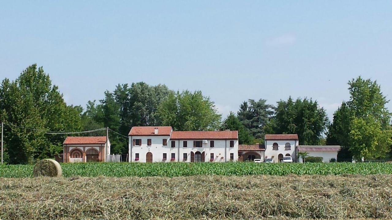 Bed and Breakfast La Casa Delle Rondini Roncoferraro Zewnętrze zdjęcie